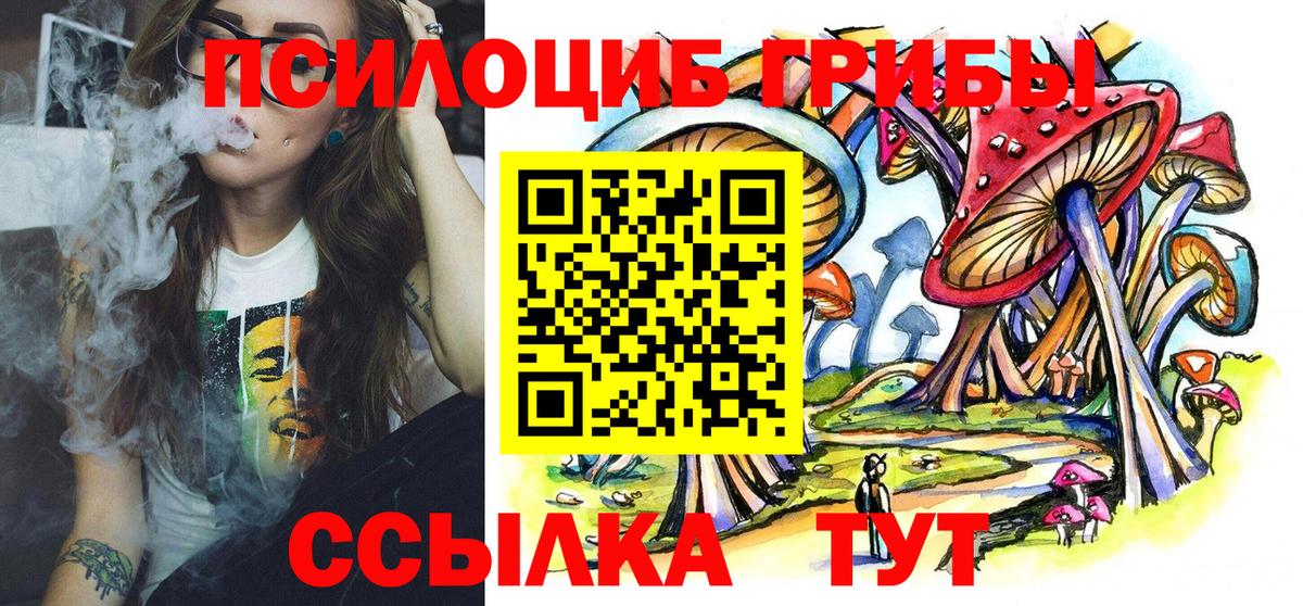 даркнет сайт  Вход с VPN  Кирово-Чепецк  Галлюциногенные грибы прущие грибы 